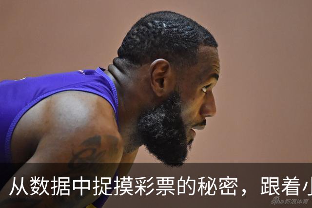 从数据中捉摸彩票的秘密，跟着小炮一起精准预测吧！